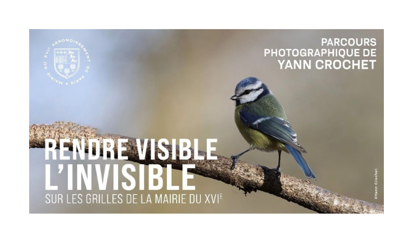 Rendre visible l’invisible